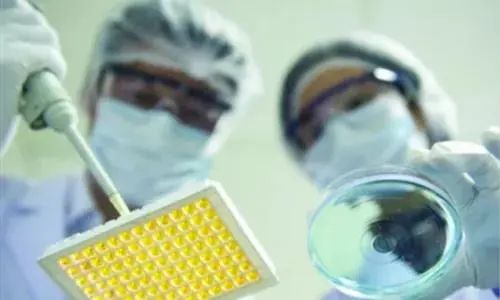 北京經開區 從仿制到創新，生物醫藥產業的技術開發如何擦亮“創新底色”
